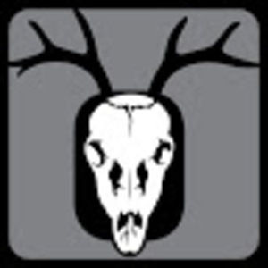 Meet your Posher, Brianne